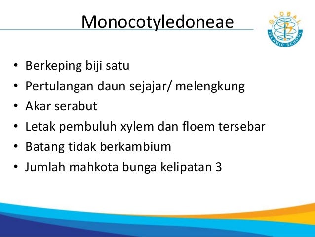 7 3 Klasifikasi Makhluk Hidup