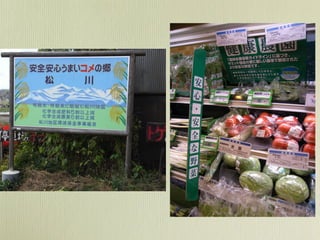 Public Lecure PPT (7.3.2012_Nicolas Sternsdorff Cisterna)