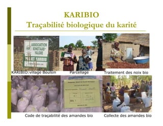 KARIBIO
       Traçabilité biologique du karité




KARIBIO:village Boulsin       Parcellage     Traitement des noix bio




       Code de traçabilité des amandes bio   Collecte des amandes bio
 