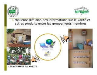 Meilleure diffusion des informations sur le karité et
    autres produits entre les groupements membres




LES ACTRICES DU KARITE
 