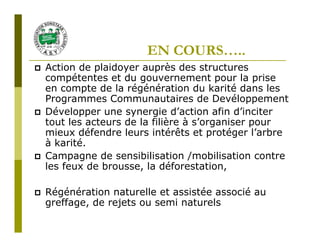 EN COURS…..
Action de plaidoyer auprès des structures
compétentes et du gouvernement pour la prise
en compte de la régénération du karité dans les
Programmes Communautaires de Devéloppement
Développer une synergie d’action afin d’inciter
tout les acteurs de la filière à s’organiser pour
mieux défendre leurs intérêts et protéger l’arbre
à karité.
Campagne de sensibilisation /mobilisation contre
les feux de brousse, la déforestation,

Régénération naturelle et assistée associé au
greffage, de rejets ou semi naturels
 