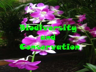 Biodiversity
    and
Conservation
 