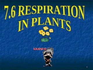 7.6 RESPIRATION  IN PLANTS 