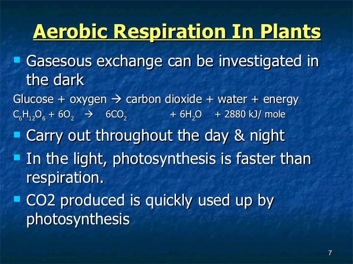 7.6 respiration in plants