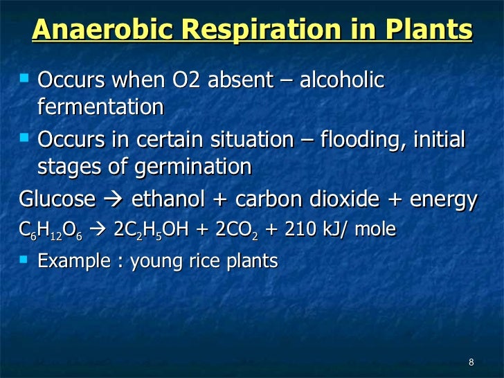 7.6 respiration in plants