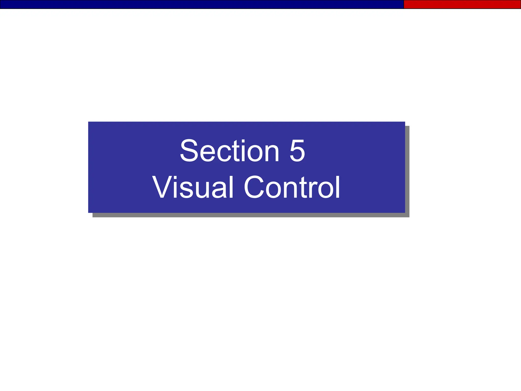 Section 5
Visual Control
 
