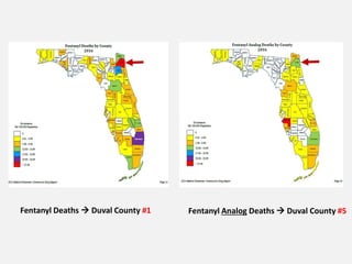 Fentanyl Deaths  Duval County #1 Fentanyl Analog Deaths  Duval County #5
 