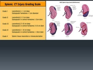 7- Abdominal trauma 1