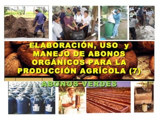 ELABORACIÓN, USO y
   MANEJO DE ABONOS
  ORGÁNICOS PARA LA
PRODUCCIÓN AGRÍCOLA (7)
    ABONOS VERDES
 