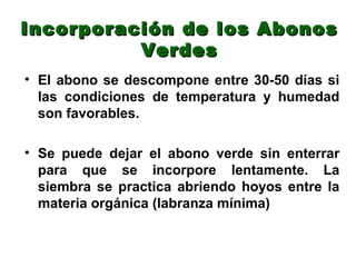 Incorporación de los Abonos
          Verdes
• El abono se descompone entre 30-50 días si
  las condiciones de temperatura y humedad
  son favorables.

• Se puede dejar el abono verde sin enterrar
  para que se incorpore lentamente. La
  siembra se practica abriendo hoyos entre la
  materia orgánica (labranza mínima)
 