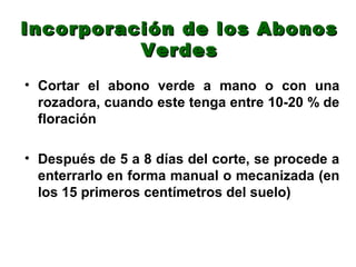 Incorporación de los Abonos
          Verdes
• Cortar el abono verde a mano o con una
  rozadora, cuando este tenga entre 10-20 % de
  floración

• Después de 5 a 8 días del corte, se procede a
  enterrarlo en forma manual o mecanizada (en
  los 15 primeros centímetros del suelo)
 