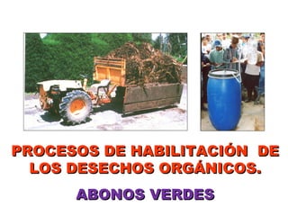PROCESOS DE HABILITACIÓN DE
  LOS DESECHOS ORGÁNICOS.
      ABONOS VERDES
 