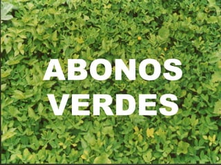 ABONOS
VERDES
 