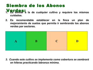 Siembra de los Abonos
 Verdes:
1. Es similar a la de cualquier cultivo y requiere   los mismos
   cuidados.
2. Es recomendable establecer en la finca un plan de
   mejoramiento de suelos que permita ir sembrando los abonos
   verdes por sectores.




      A               B              C                D




3. Cuando este cultivo se implementa como cobertura se sembrará
    en hileras practicando labranza mínima.
 