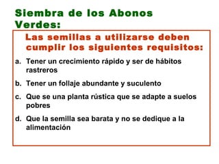 Siembra de los Abonos
Verdes:
  Las semillas a utilizarse deben
  cumplir los siguientes requisitos:
a. Tener un crecimiento rápido y ser de hábitos
   rastreros
b. Tener un follaje abundante y suculento
c. Que se una planta rústica que se adapte a suelos
   pobres
d. Que la semilla sea barata y no se dedique a la
   alimentación
 