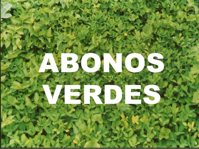 Image result for abono verde