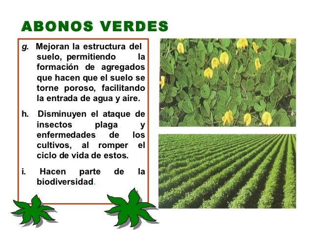 7. abonos-verdes-elaboración-uso-y-manejo-de-abonos-orgánicos