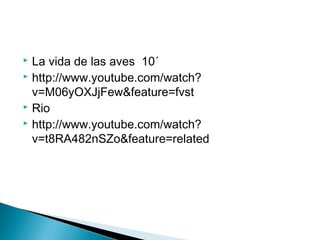  La vida de las aves 10´
 http://www.youtube.com/watch?
v=M06yOXJjFew&feature=fvst
 Rio
 http://www.youtube.com/watch?
v=t8RA482nSZo&feature=related
 