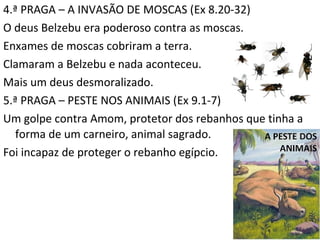 4.ª PRAGA – A INVASÃO DE MOSCAS (Ex 8.20-32)
O deus Belzebu era poderoso contra as moscas.
Enxames de moscas cobriram a terra.
Clamaram a Belzebu e nada aconteceu.
Mais um deus desmoralizado.
5.ª PRAGA – PESTE NOS ANIMAIS (Ex 9.1-7)
Um golpe contra Amom, protetor dos rebanhos que tinha a
forma de um carneiro, animal sagrado.
Foi incapaz de proteger o rebanho egípcio.
10
 