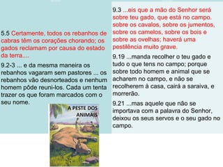 Papiro de Ipuwer Êxodo de Moisés
5.5 Certamente, todos os rebanhos de
cabras têm os corações chorando; os
gados reclamam por causa do estado
da terra....
9.2-3 ... e da mesma maneira os
rebanhos vagaram sem pastores ... os
rebanhos vão desnorteados e nenhum
homem pôde reuni-los. Cada um tenta
trazer os que foram marcados com o
seu nome.
9.3 ...eis que a mão do Senhor será
sobre teu gado, que está no campo.
sobre os cavalos, sobre os jumentos,
sobre os camelos, sobre os bois e
sobre as ovelhas; haverá uma
pestilência muito grave.
9.19 ...manda recolher o teu gado e
tudo o que tens no campo; porque
sobre todo homem e animal que se
acharem no campo, e não se
recolherem à casa, cairá a saraiva, e
morrerão.
9.21 ...mas aquele que não se
importava com a palavra do Senhor,
deixou os seus servos e o seu gado no
campo.
 