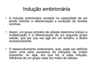 Indução embrionária
• A indução embrionária consiste na capacidade de um
tecido orientar a diferenciação e evolução de tecidos
vizinhos.
• Assim, um grupo primário de células determina (induz) a
multiplicação e a diferenciação de um segundo grupo
celular, que por sua vez age em um terceiro, e assim
sucessivamente.
• O desenvolvimento embrionário, pois, pode ser definido
como uma série sucessiva de induções de ordem
crescente, ou seja, em que há, a cada indução,
influência de um grupo cada vez maior de células.
 