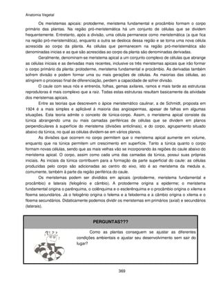 Protoderme Vegetal 7 anatomia vegetal | PDF