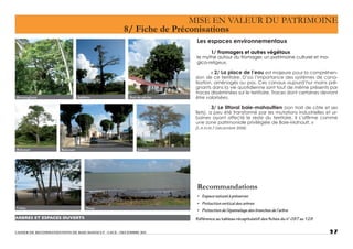 • Espace naturel à préserver.
• Protection vertical des arbres
• Protection de l’épannelage des branches de l’arbre
Référence au tableau récapitulatif des fiches du n° 097 au 129
 