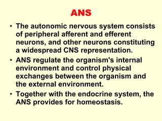 ANS The autonomic nervous system consists of peripheral afferent and efferent neurons, and other neurons constituting a widespread CNS representation. ANS regulate the organism's internal environment and control physical exchanges between the organism and the external environment. Together with the endocrine system, the ANS provides for homeostasis. 
