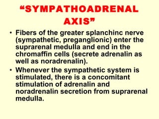 “ SYMPATHOADRENAL AXIS” Fibers of the greater splanchinc nerve   (sympathetic, preganglionic )  enter the suprarenal medulla and end in the chromaffin cells (secrete adrenalin as well as noradrenalin). Whenever the sympathetic system is stimulated, there is a concomitant stimulation of adrenalin and noradrenalin secretion from suprarenal medulla. 