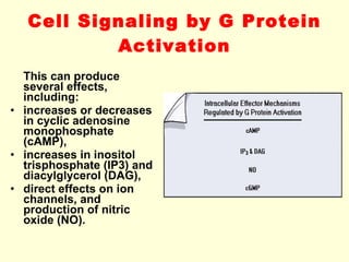 Cell Signaling by G Protein Activation This can produce several effects, including: increases or decreases in cyclic adenosine monophosphate (cAMP), increases in inositol trisphosphate (IP3) and diacylglycerol (DAG),  direct effects on ion channels, and production of nitric oxide (NO). 