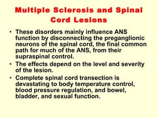 Multiple Sclerosis and Spinal Cord Lesions These disorders mainly influence ANS function by disconnecting the preganglionic neurons of the spinal cord, the final common path for much of the ANS, from their supraspinal control. The effects depend on the level and severity of the lesion. Complete spinal cord transection is devastating to body temperature control, blood pressure regulation, and bowel, bladder, and sexual function. 