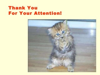 Thank You For Your Attention! 