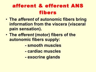 afferent & efferent ANS fibers The  afferent  of autonomic fibers bring information from the viscera (visceral pain sensation). The  efferent  (motor) fibers of the autonomic fibers supply: - smooth muscles - cardiac muscles - exocrine glands 