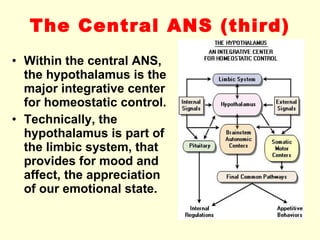 The Central ANS  (third) Within the central ANS, the hypothalamus is the major integrative center for homeostatic control.  Technically, the hypothalamus is part of the limbic system, that provides for mood and affect, the appreciation of our emotional state. 