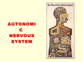 AUTONOMIC  NERVOUS SYSTEM 