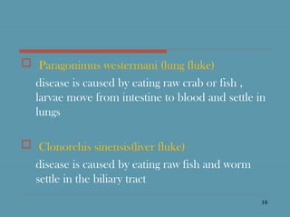  Paragonimus westermani (lung fluke)
disease is caused by eating raw crab or fish ,
larvae move from intestine to blood and settle in
lungs
 Clonorchis sinensis(liver fluke)
disease is caused by eating raw fish and worm
settle in the biliary tract
16
 