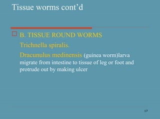 17
Tissue worms cont’d
 B. TISSUE ROUND WORMS
Trichnella spiralis.
Dracunulus medinensis (guinea worm)larva
migrate from intestine to tissue of leg or foot and
protrude out by making ulcer
 