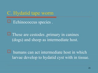 25
C. Hydatid tape worm
 Echinococcus species .
 These are cestodes ,primary in canines
(dogs) and sheep as intermediate host.
 humans can act intermediate host in which
larvae develop to hydatid cyst with in tissue.
 
