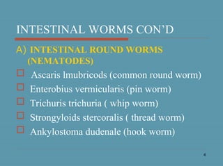 4
INTESTINAL WORMS CON’D
A) INTESTINAL ROUND WORMS
(NEMATODES)
 Ascaris lmubricods (common round worm)
 Enterobius vermicularis (pin worm)
 Trichuris trichuria ( whip worm)
 Strongyloids stercoralis ( thread worm)
 Ankylostoma dudenale (hook worm)
 