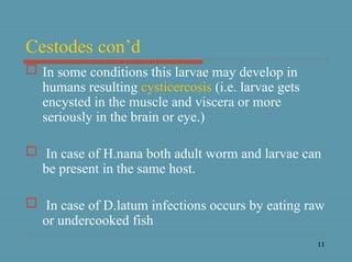 11
Cestodes con’d
 In some conditions this larvae may develop in
humans resulting cysticercosis (i.e. larvae gets
encysted in the muscle and viscera or more
seriously in the brain or eye.)
 In case of H.nana both adult worm and larvae can
be present in the same host.
 In case of D.latum infections occurs by eating raw
or undercooked fish
 