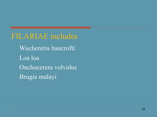 FILARIAE includes
Wuchereria bancrofti
Loa loa
Onchocerera volvulus
Brugia malayi
18
 