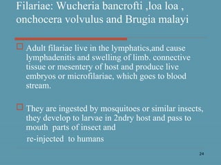24
Filariae: Wucheria bancrofti ,loa loa ,
onchocera volvulus and Brugia malayi
 Adult filariae live in the lymphatics,and cause
lymphadenitis and swelling of limb. connective
tissue or mesentery of host and produce live
embryos or microfilariae, which goes to blood
stream.
 They are ingested by mosquitoes or similar insects,
they develop to larvae in 2ndry host and pass to
mouth parts of insect and
re-injected to humans
 