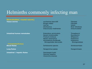 27
Helminths commonly infecting man
Nematodes( round worm)
Tissue worms wuchereria bancrofti Filariasis
Brugia malayi Filariasis
Loa loa loiasis
Onchocerca River blindness
Dracunculus medinensis Dracunculiaiss
Intestinal human nematodes Enterobius vermicularis Threadworm
Ascaris lumbricoides Roundworm
Trichuris trichiura Whipworm
Nector americanus Hookworm
Ancylostoma duodenale Hookworm
Strongyloides stercoralis Strongyloidosis
Trematodes(flukes)
Blood flukes Schistosoma species Schistosomiasis
Lung flukes Paragonimus speies Paragonimiasis
Intestinal / hepatic flukes Fasciolopsis buski
Fasciola hepatica
Clonorchis sinensis
 