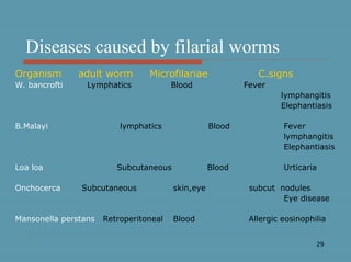 29
Diseases caused by filarial worms
Organism adult worm Microfilariae C.signs
W. bancrofti Lymphatics Blood Fever
lymphangitis
Elephantiasis
B.Malayi lymphatics Blood Fever
lymphangitis
Elephantiasis
Loa loa Subcutaneous Blood Urticaria
Onchocerca Subcutaneous skin,eye subcut nodules
Eye disease
Mansonella perstans Retroperitoneal Blood Allergic eosinophilia
 