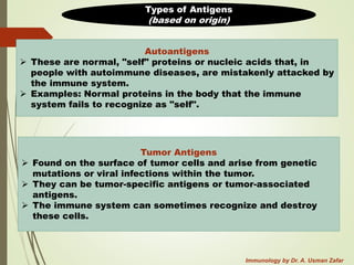 Comprehensive Overview of Antigens and Immune Responses in Immunology | PDF