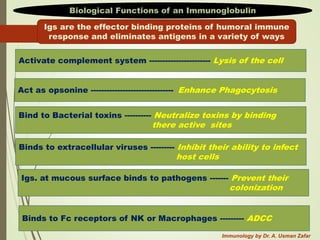 Comprehensive Overview of Antigens and Immune Responses in Immunology | PDF