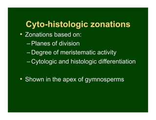 Cyto-histologic zonations
•  Zonations based on:
  – Planes of division
  – Degree of meristematic activity
  – Cytologic and histologic differentiation

•  Shown in the apex of gymnosperms
 