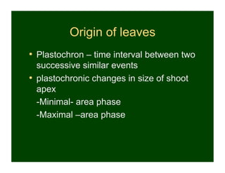 Origin of leaves
•  Plastochron – time interval between two
   successive similar events
•  plastochronic changes in size of shoot
   apex
   -Minimal- area phase
   -Maximal –area phase
 