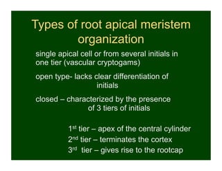 Types of root apical meristem
        organization
single apical cell or from several initials in
one tier (vascular cryptogams)
open type- lacks clear differentiation of
                  initials
closed – characterized by the presence
              of 3 tiers of initials

          1st tier – apex of the central cylinder
          2nd tier – terminates the cortex
          3rd tier – gives rise to the rootcap
 