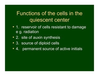 Functions of the cells in the
       quiescent center
•  1. reservoir of cells resistant to damage
   e g. radiation
•  2. site of auxin synthesis
•  3. source of diploid cells
•  4. permanent source of active initials
 